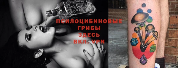 индика Россошь