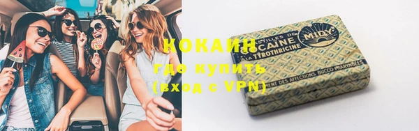 индика Россошь