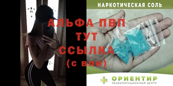 индика Россошь
