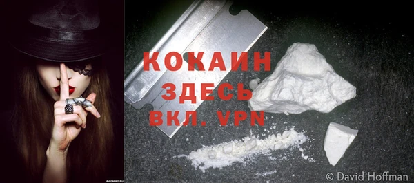 прущая мука Рославль