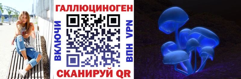 Псилоцибиновые грибы Psilocybine cubensis  Купить закладки  Кудымкар 